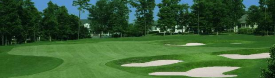 Raleigh Junior Open