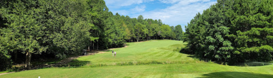 Northern Virginia Junior Open