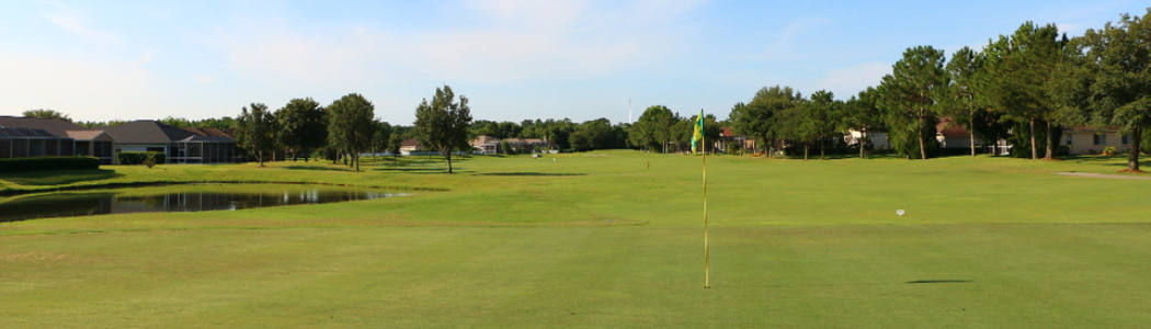 Tampa Bay Winter Junior Open