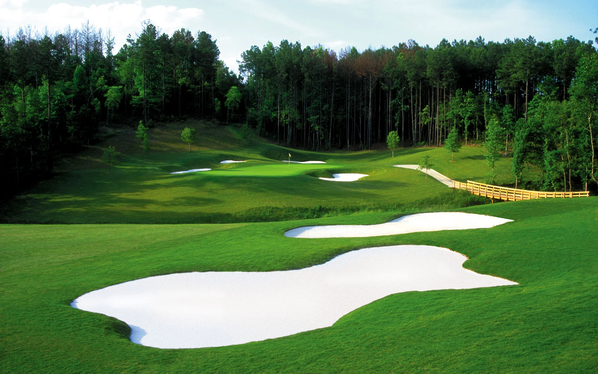 Bears Best Junior Open