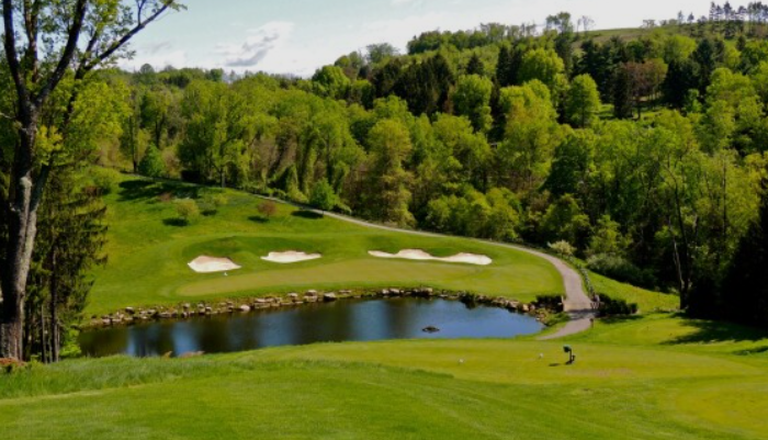 Cleveland Summer Junior Open