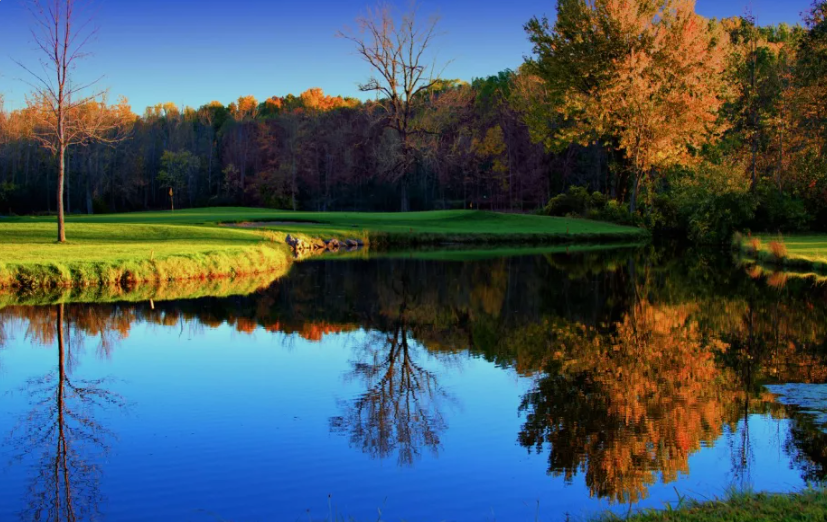 New York Summer Junior Open at Wild Wood