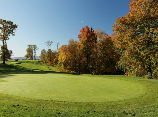 New York Summer Junior Open